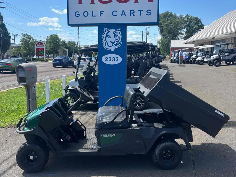 Used green electric 2020 Cushman Other golf cart for sale in Hatfield, PA — photo 2