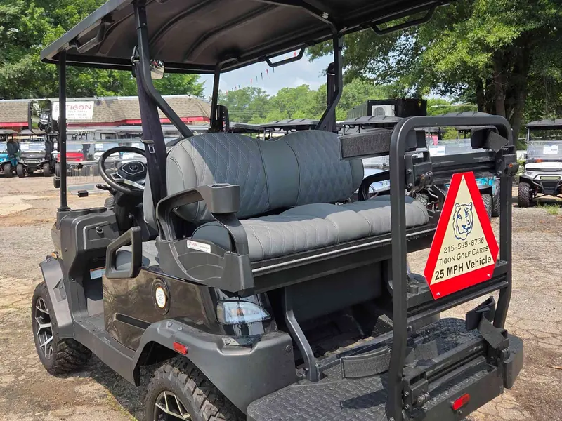 New black electric 2026 Denago Nomad XL golf cart for sale in Raleigh, NC — photo 3