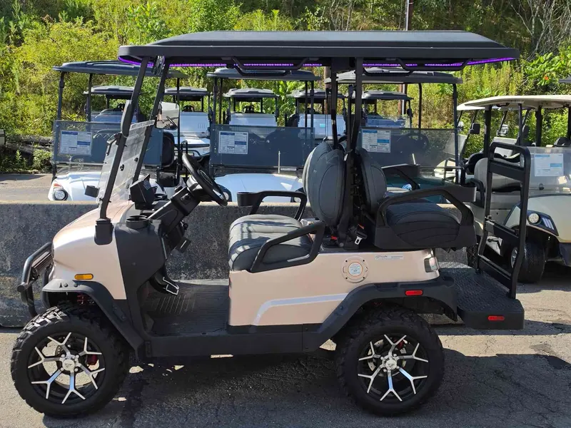 New champagne electric 2026 Denago Nomad XL lifted golf cart for sale in Scranton, PA — photo 2