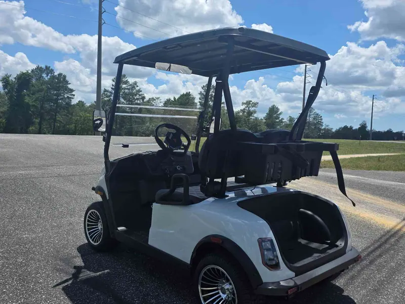 New white electric 2026 Denago Scout 2 golf cart for sale in Lecanto, FL — photo 3