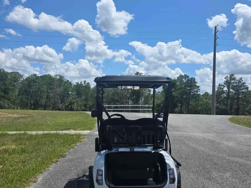 New white electric 2026 Denago Scout 2 golf cart for sale in Lecanto, FL — photo 4