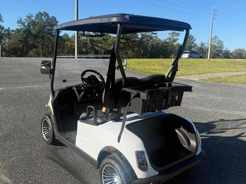 New white electric 2026 Denago Scout 2 golf cart for sale in Lecanto, FL — photo 3
