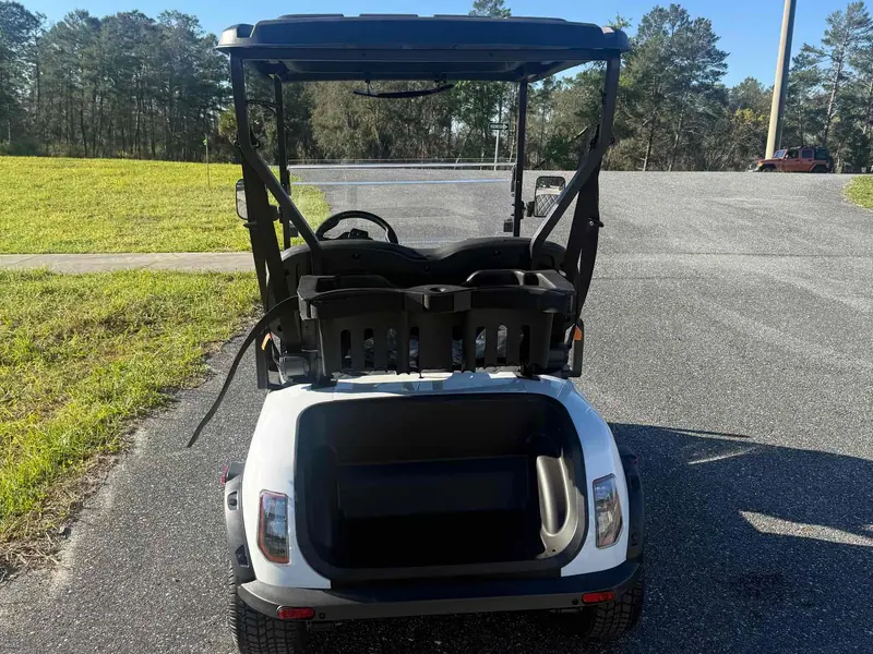 New white electric 2026 Denago Scout 2 golf cart for sale in Lecanto, FL — photo 4