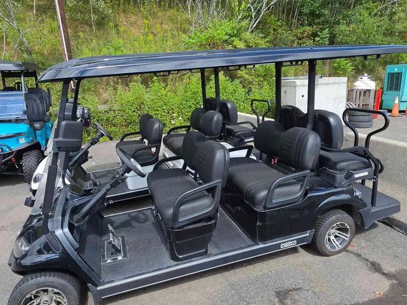New black gas 2024 Icon G60 golf cart for sale in Scranton, PA — photo 2