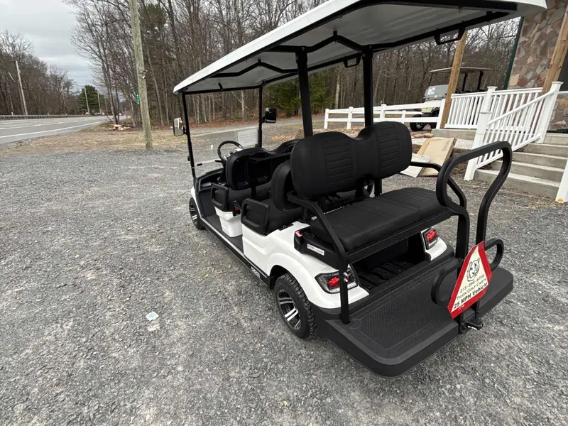 New white gas 2024 Icon G60 golf cart for sale in Long Pond, PA — photo 3