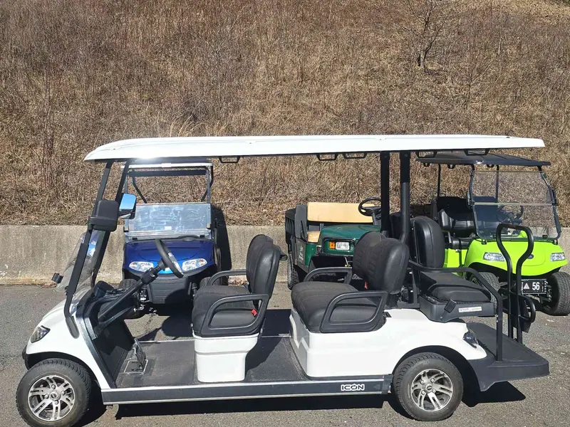 New white gas 2024 Icon G60 golf cart for sale in Scranton, PA — photo 2