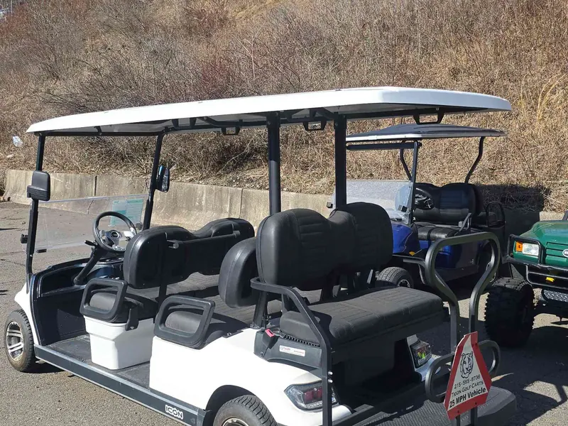 New white gas 2024 Icon G60 golf cart for sale in Scranton, PA — photo 3
