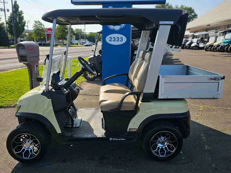 New beige electric 2025 Tara Spirit Plus golf cart for sale in Hatfield, PA — photo 2