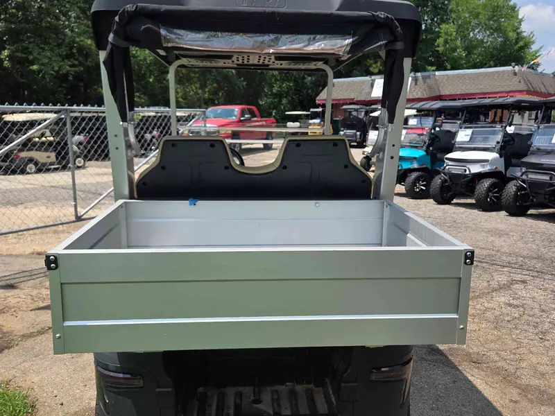 New beige electric 2025 Tara Spirit Plus golf cart for sale in Raleigh, NC — photo 4