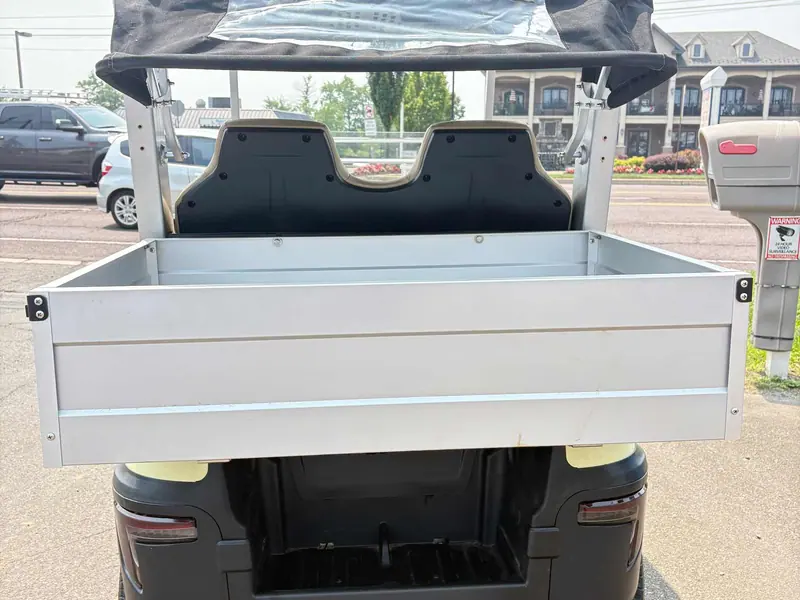 New beige electric 2025 Tara Spirit Plus golf cart for sale in Wichita Falls, TX — photo 4
